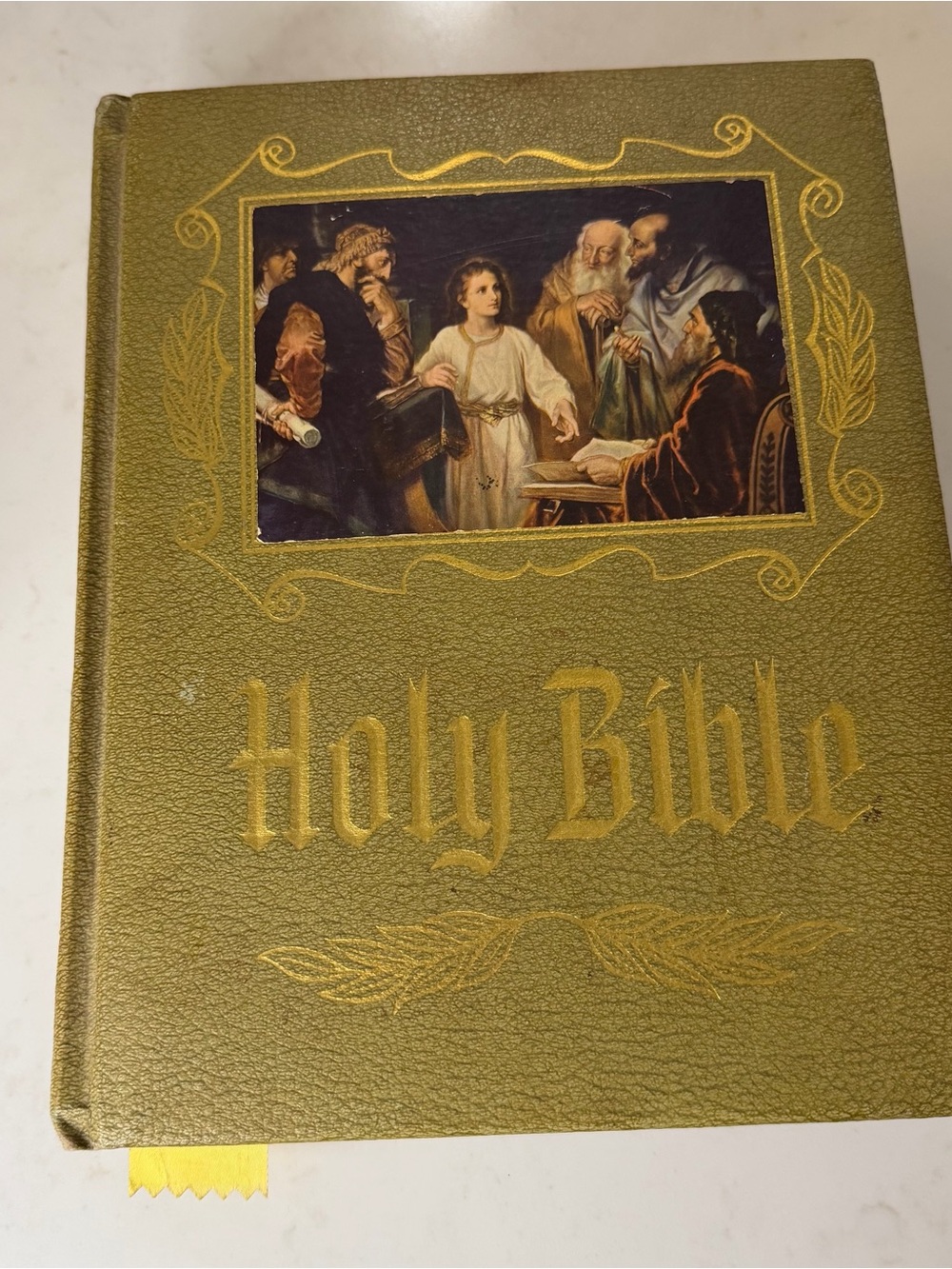 Olive Green Holy Bible , Master reference edition ,with Illustrated Cover